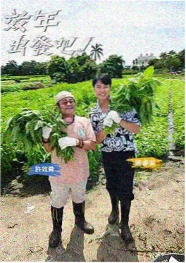 旧照片修复师短剧封面